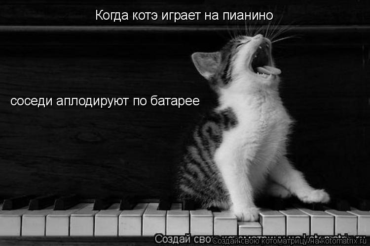 Когда котэ играет на пианино соседи аплодируют по батарее... Котоматрица: Когда котэ играет на пианино соседи аплодируют по батарее
