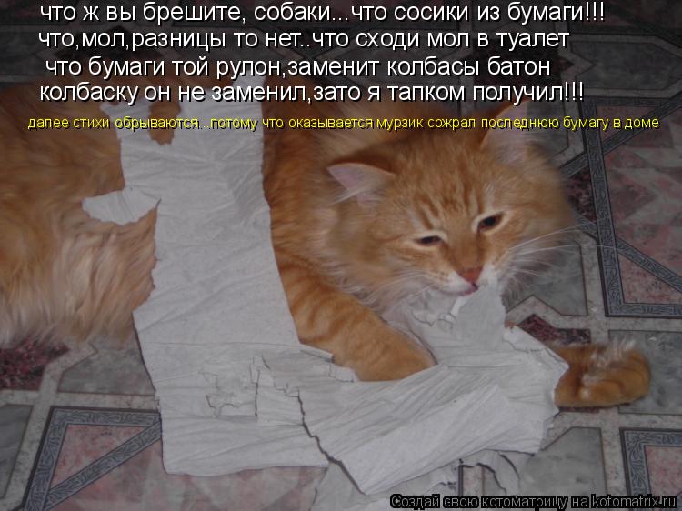 что ж вы брешите, собаки...что сосики из бумаги!!! что,мол,разницы то нет..что сходи мол в туалет что... Котоматрица: что ж вы брешите, собаки...что сосики из бумаги!!! что,мол,разницы то нет..что сходи мол в туалет что бумаги той рулон,заменит колбасы батон кол
