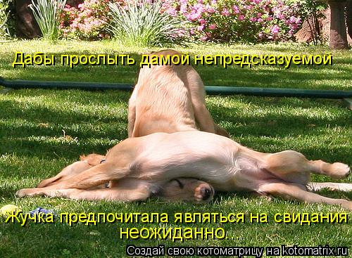 Дабы прослыть дамой непредсказуемой Жучка предпочитала являться на свидания неожиданно...... Котоматрица: Дабы прослыть дамой непредсказуемой Жучка предпочитала являться на свидания неожиданно...