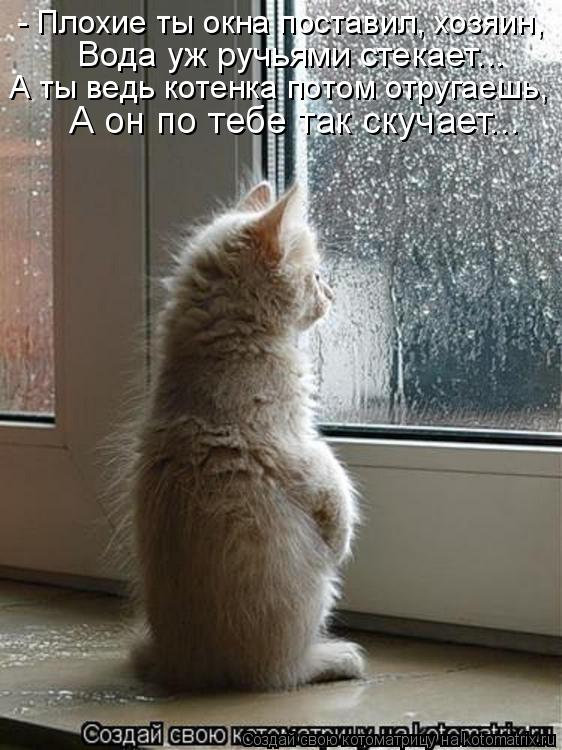 - Плохие ты окна поставил, хозяин, Вода уж ручьями стекает... А ты ведь котенка потом отругаешь, А он... Котоматрица: - Плохие ты окна поставил, хозяин, Вода уж ручьями стекает... А ты ведь котенка потом отругаешь, А он по тебе так скучает...