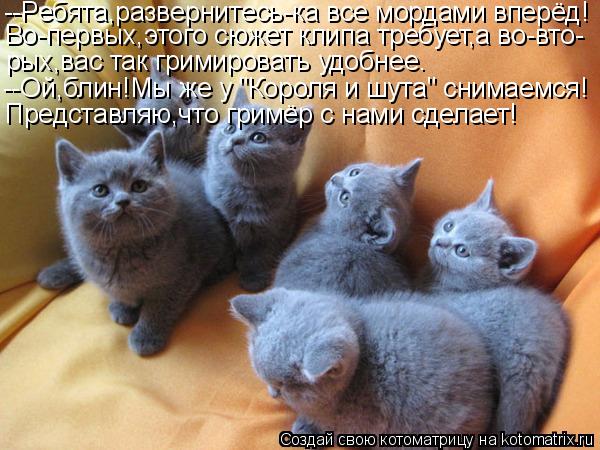 --Ребята,развернитесь-ка все мордами вперёд! Во-первых,этого сюжет клипа требует,а во-вто- рых,вас та... Котоматрица: --Ребята,развернитесь-ка все мордами вперёд! Во-первых,этого сюжет клипа требует,а во-вто- рых,вас так гримировать удобнее. --Ой,блин!Мы же у "К