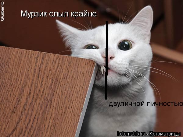 | | | Мурзик слыл крайне двуличной личностью... Котоматрица: | | | Мурзик слыл крайне двуличной личностью