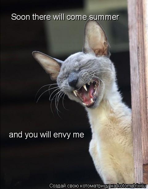 Soon there will come summer and you will envy me... Котоматрица: Soon there will come summer and you will envy me