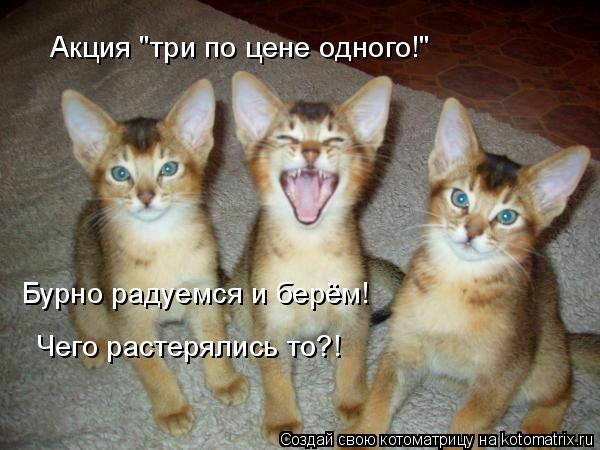 Акция "три по цене одного!" Акция "три по цене одного!" Бурно радуемся и берём! Чего растерялись то?... Котоматрица: Акция "три по цене одного!" Акция "три по цене одного!" Бурно радуемся и берём! Чего растерялись то?!