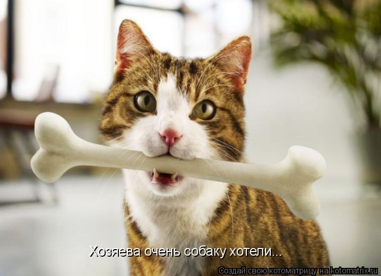 Хозяева очень собаку хотели...... Котоматрица: Хозяева очень собаку хотели...