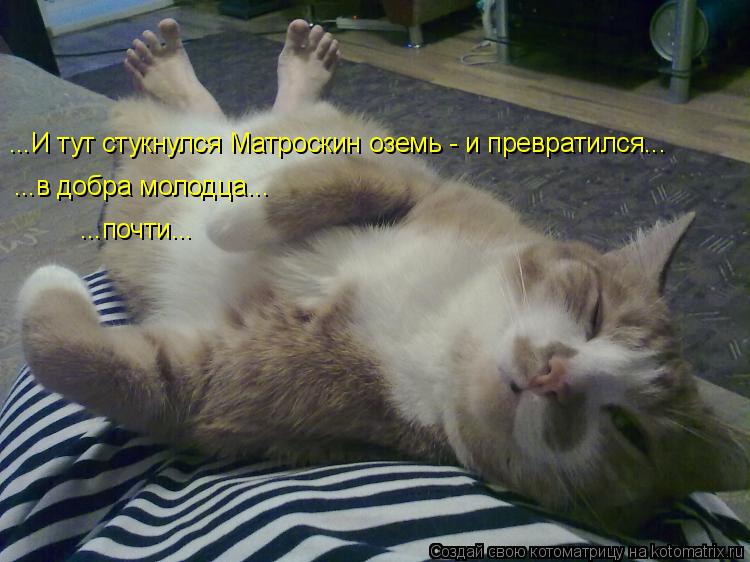 ...И тут стукнулся Матроскин оземь - и превратился... ...в добра молодца... ...почти...... Котоматрица: ...И тут стукнулся Матроскин оземь - и превратился... ...в добра молодца... ...почти...