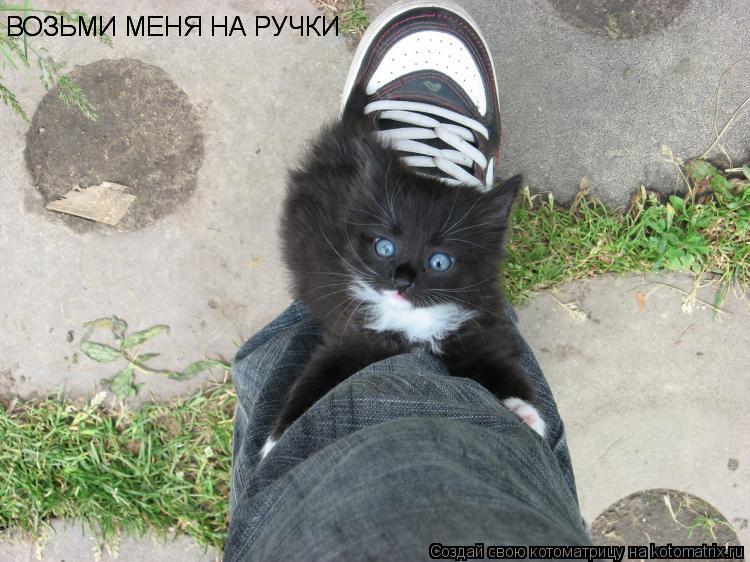 ВОЗЬМИ МЕНЯ НА РУЧКИ ВОЗЬМИ МЕНЯ НА РУЧКИ... Котоматрица: ВОЗЬМИ МЕНЯ НА РУЧКИ ВОЗЬМИ МЕНЯ НА РУЧКИ