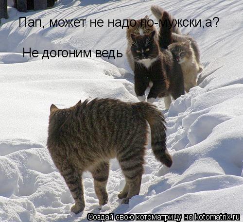 Пап, может не надо по-мужски,а? Не догоним ведь... Котоматрица: Пап, может не надо по-мужски,а? Не догоним ведь