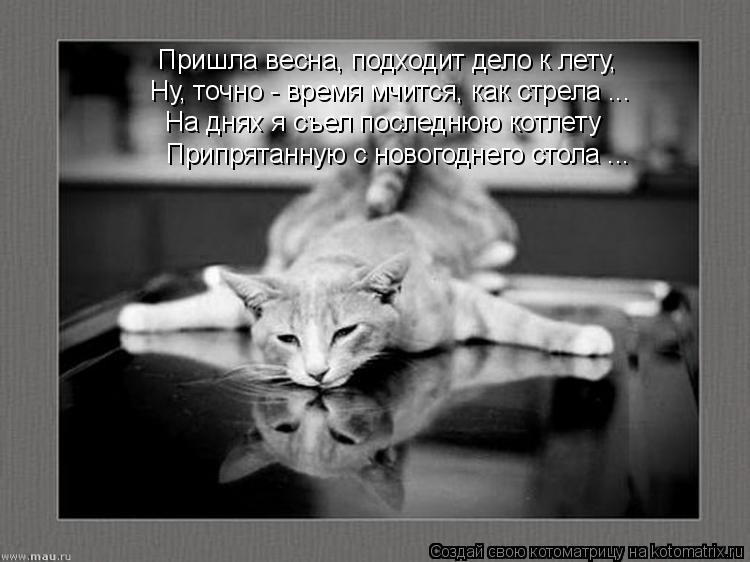 Пришла весна, подходит дело к лету, Ну, точно - время мчится, как стрела ... На днях я съел последнюю... Котоматрица: Пришла весна, подходит дело к лету, Ну, точно - время мчится, как стрела ... На днях я съел последнюю котлету Припрятанную с новогоднего стола .
