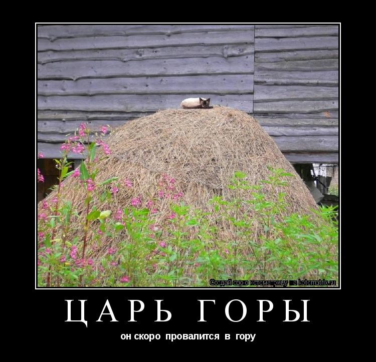 Котоматрица: ЦАРЬ ГОРЫ он скоро  провалится  в  гору