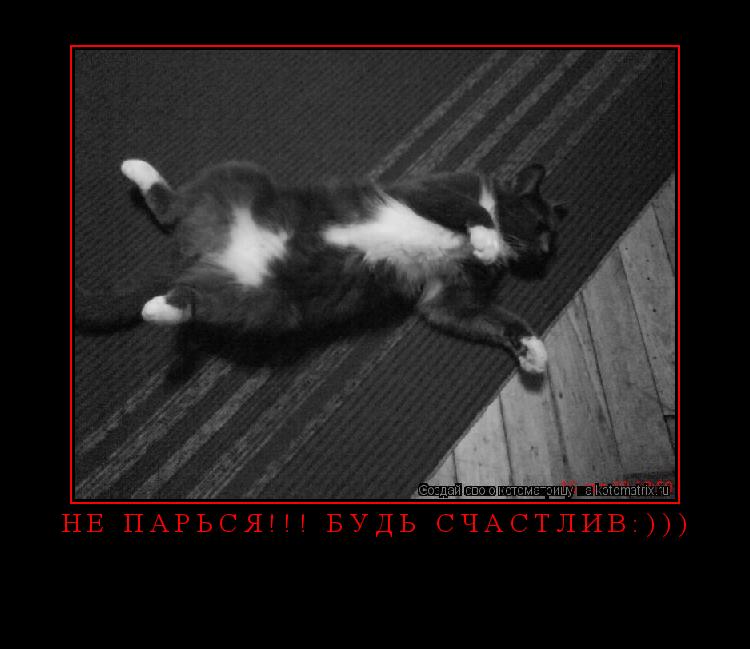 Не парься!!! Будь счастлив:))) ... Котоматрица: Не парься!!! Будь счастлив:)))
