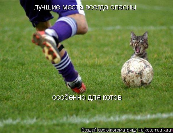 лучшие места всегда опасны особенно для котов... Котоматрица: лучшие места всегда опасны особенно для котов