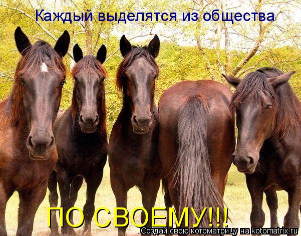 Каждый выделятся из общества ПО СВОЕМУ!!!... Котоматрица: Каждый выделятся из общества ПО СВОЕМУ!!!