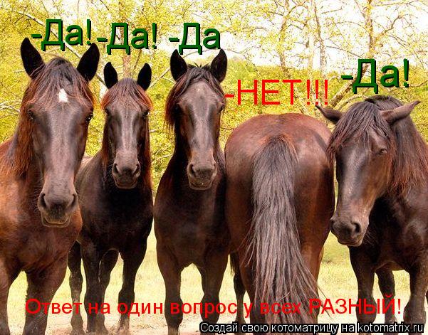 -Да! -НЕТ!!! -Да! -Да! -Да Ответ на один вопрос у всех РАЗНЫЙ!... Котоматрица: -Да! -НЕТ!!! -Да! -Да! -Да Ответ на один вопрос у всех РАЗНЫЙ!