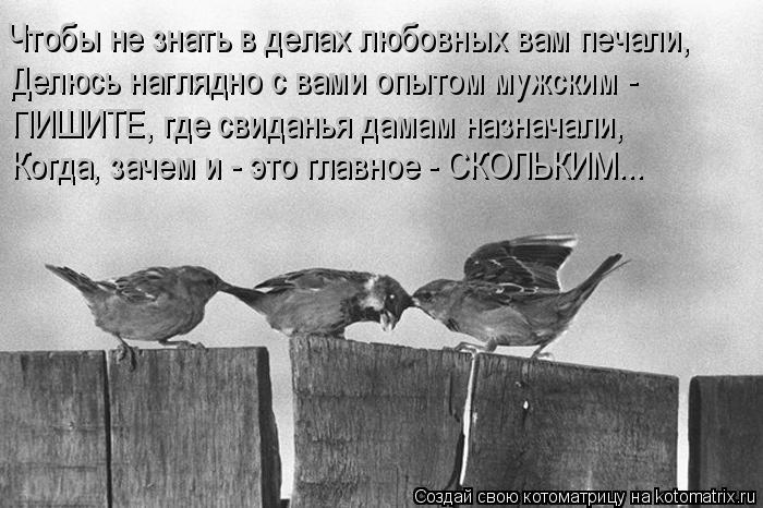 Чтобы не знать в делах любовных вам печали, Делюсь наглядно с вами опытом мужским - ПИШИТЕ, где свид... Котоматрица: Чтобы не знать в делах любовных вам печали, Делюсь наглядно с вами опытом мужским - ПИШИТЕ, где свиданья дамам назначали, Когда, зачем и - это