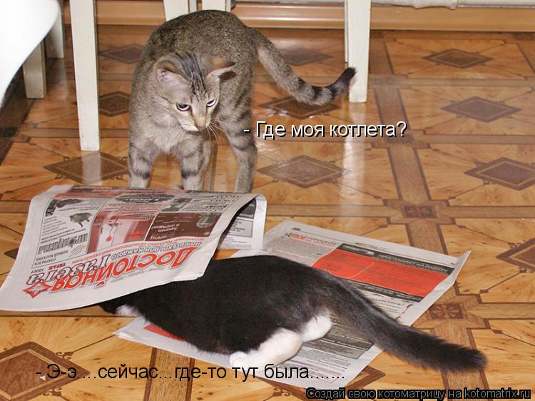 - Где моя котлета? - Э-э....сейчас...где-то тут была.......... Котоматрица: - Где моя котлета? - Э-э....сейчас...где-то тут была.......