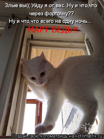 Злые вы(( Уйду я от вас..Ну и что,что через форточку?? Ну и что,что всего на одну ночь... МАРТ ВЕДЬ!!... Котоматрица: Злые вы(( Уйду я от вас..Ну и что,что через форточку?? Ну и что,что всего на одну ночь... МАРТ ВЕДЬ!!