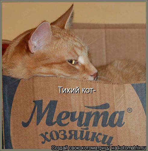 Тихий кот-... Котоматрица: Тихий кот-