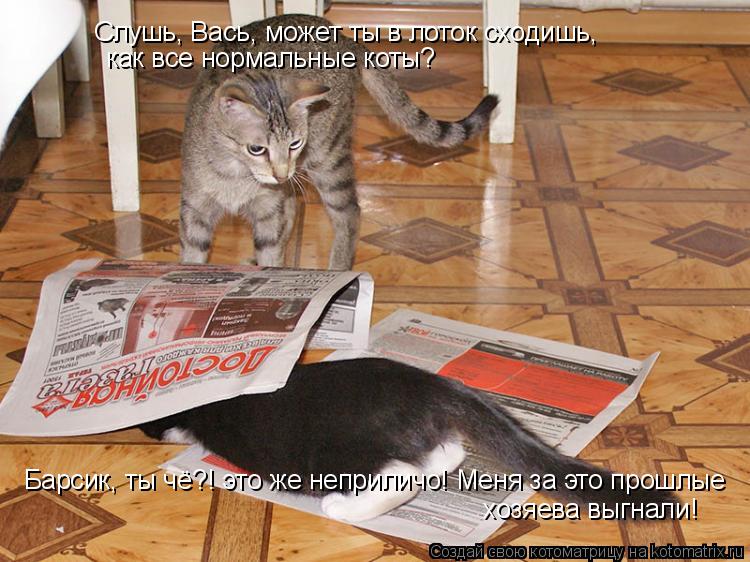 Слушь, Вась, может ты в лоток сходишь, как все нормальные коты? Барсик, ты чё?! это же неприличо! Мен... Котоматрица: Слушь, Вась, может ты в лоток сходишь, как все нормальные коты? Барсик, ты чё?! это же неприличо! Меня за это прошлые хозяева выгнали!