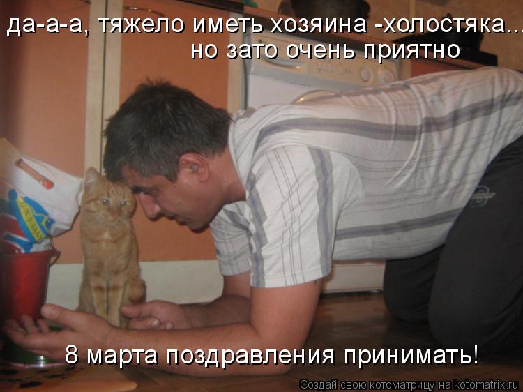 да-а-а, тяжело иметь хозяина -холостяка... но зато очень приятно 8 марта поздравления принимать!... Котоматрица: да-а-а, тяжело иметь хозяина -холостяка... но зато очень приятно 8 марта поздравления принимать!