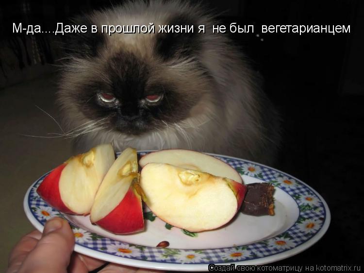 М-да....Даже в прошлой жизни я не был вегетарианцем... Котоматрица: М-да....Даже в прошлой жизни я не был вегетарианцем