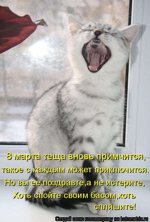 8 марта теща вновь примчится, такое с каждым может приключится. Но вы ее поздравте,а не истерите, Хот... Котоматрица: 8 марта теща вновь примчится, такое с каждым может приключится. Но вы ее поздравте,а не истерите, Хоть спойте своим басом,хоть спляшите!