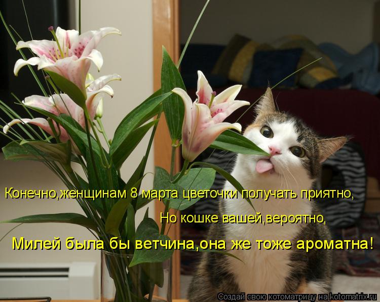 Конечно,женщинам 8 марта цветочки получать приятно, Но кошке вашей,вероятно, Милей была бы ветчина,он... Котоматрица: Конечно,женщинам 8 марта цветочки получать приятно, Но кошке вашей,вероятно, Милей была бы ветчина,она же тоже ароматна!