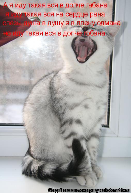 А я иду такая вся в долче габана я иду такая вся на сердце рана слёзы душа в душу я в плену одмана н... Котоматрица: А я иду такая вся в долче габана я иду такая вся на сердце рана слёзы душа в душу я в плену одмана но иду такая вся в долче гобана