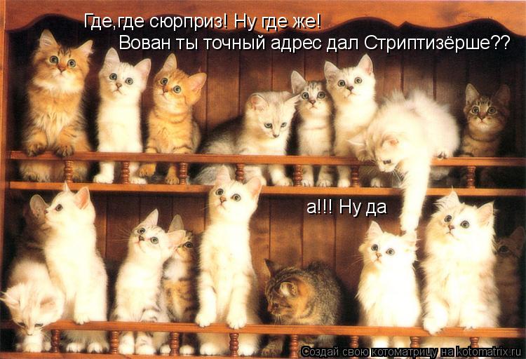 Где,где сюрприз! Ну где же! Вован ты точный адрес дал Стриптизёрше?? а!!! Ну да... Котоматрица: Где,где сюрприз! Ну где же! Вован ты точный адрес дал Стриптизёрше?? а!!! Ну да