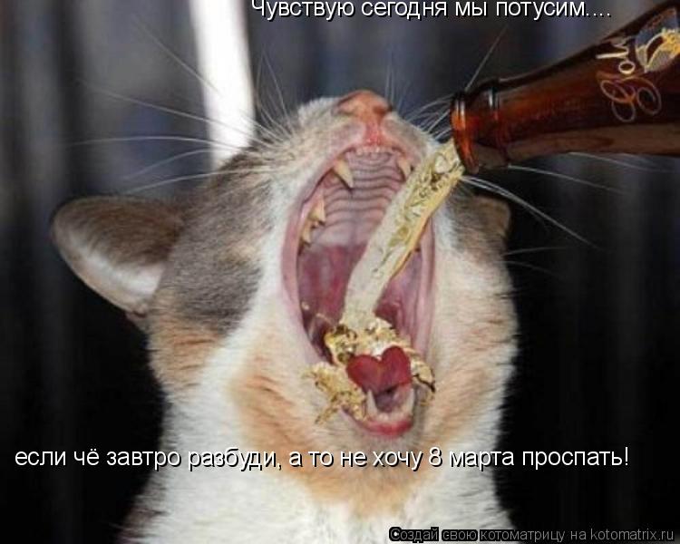 Чувствую сегодня мы потусим.... если чё завтро разбуди, а то не хочу 8 марта проспать!... Котоматрица: Чувствую сегодня мы потусим.... если чё завтро разбуди, а то не хочу 8 марта проспать!