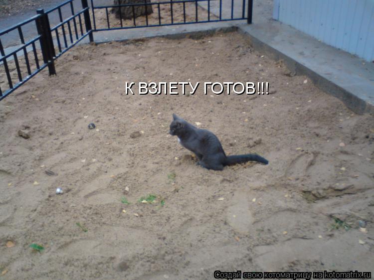 К ВЗЛЕТУ ГОТОВ!!!... Котоматрица: К ВЗЛЕТУ ГОТОВ!!!