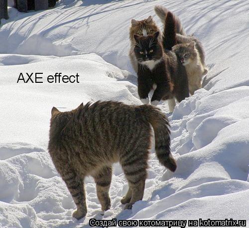 AXE effect... Котоматрица: AXE effect