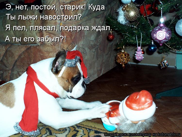 Э, нет, постой, старик! Куда Ты лыжи навострил? Я пел, плясал, подарка ждал. А ты его забыл?!... Котоматрица: Э, нет, постой, старик! Куда Ты лыжи навострил? Я пел, плясал, подарка ждал. А ты его забыл?!
