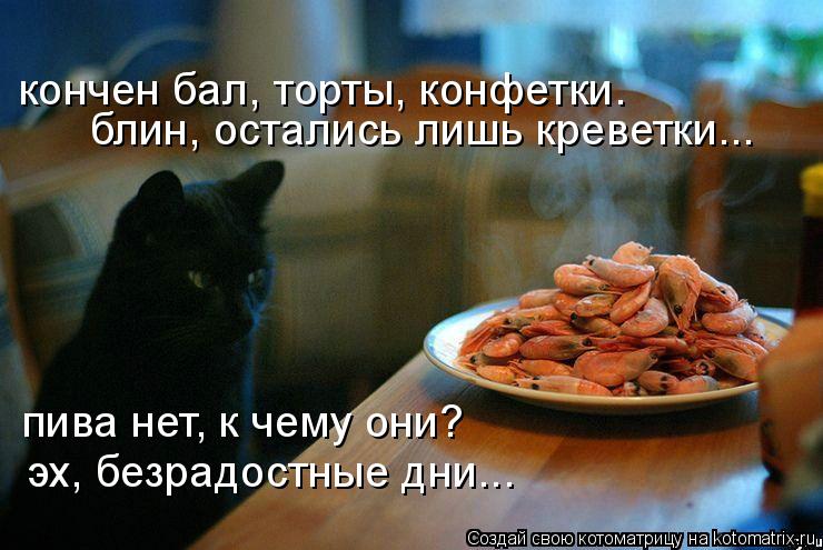 кончен бал, торты, конфетки. блин, остались лишь креветки... пива нет, к чему они? эх, безрадостные д... Котоматрица: кончен бал, торты, конфетки. блин, остались лишь креветки... пива нет, к чему они? эх, безрадостные дни...