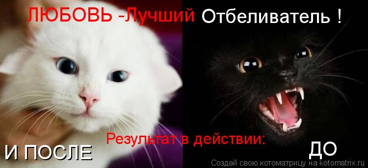ДО И ПОСЛЕ ЛЮБОВЬ -Лучший Отбеливатель ! Результат в действии:... Котоматрица: ДО И ПОСЛЕ ЛЮБОВЬ -Лучший Отбеливатель ! Результат в действии: