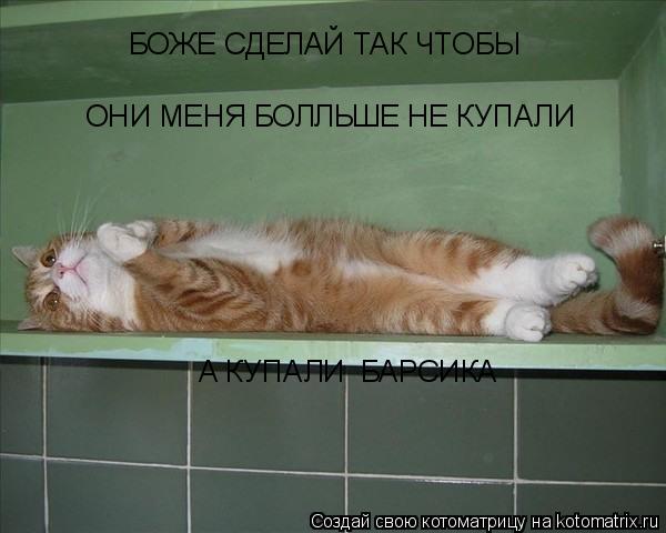 БОЖЕ СДЕЛАЙ ТАК ЧТОБЫ ОНИ МЕНЯ БОЛЛЬШЕ НЕ КУПАЛИ А КУПАЛИ БАРСИКА... Котоматрица: БОЖЕ СДЕЛАЙ ТАК ЧТОБЫ ОНИ МЕНЯ БОЛЛЬШЕ НЕ КУПАЛИ А КУПАЛИ БАРСИКА