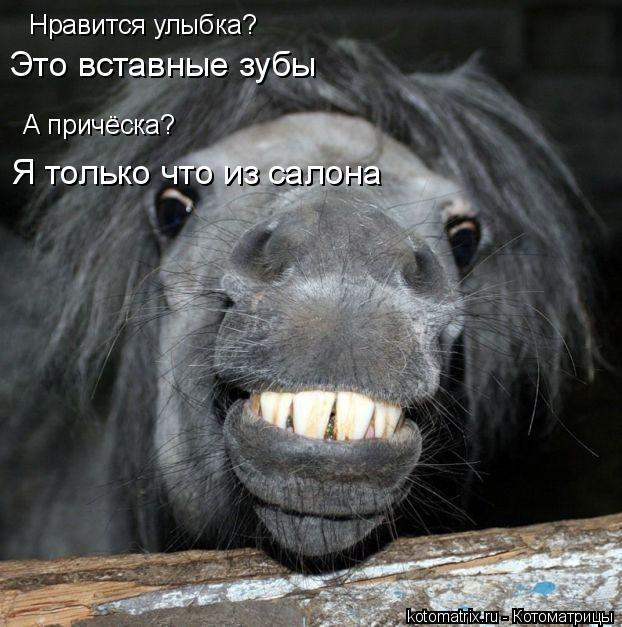 Нравится улыбка? Это вставные зубы А причёска? Я только что из салона... Котоматрица: Нравится улыбка? Это вставные зубы А причёска? Я только что из салона