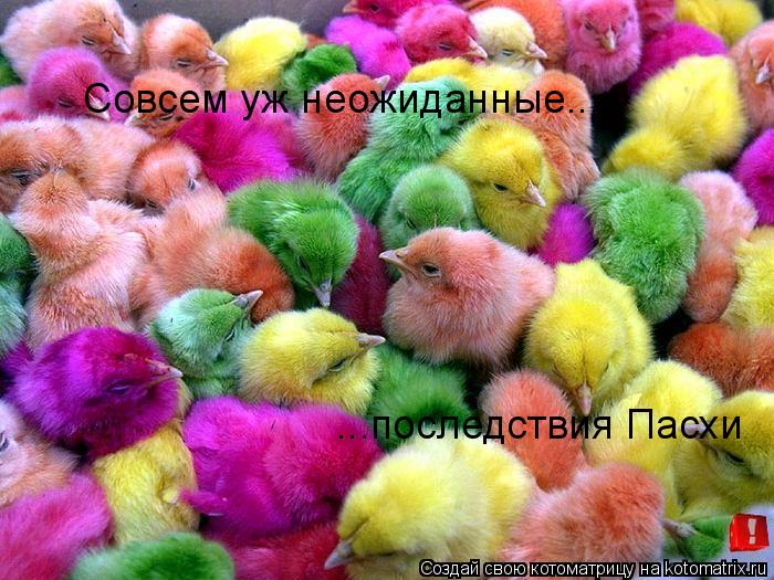 Совсем уж неожиданные.... ...последствия Пасхи... Котоматрица: Совсем уж неожиданные.... ...последствия Пасхи