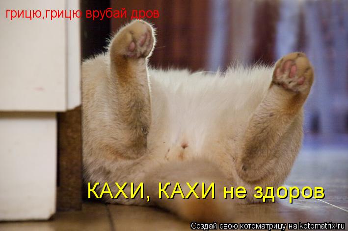 грицю,грицю врубай дров КАХИ, КАХИ не здоров... Котоматрица: грицю,грицю врубай дров КАХИ, КАХИ не здоров