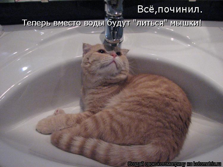 Котоматрица: Всё,починил. Теперь вместо воды будут "литься" мышки!