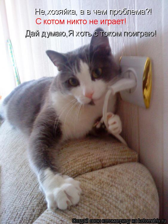 Котоматрица: Не,хозяйка, а в чем проблема?! С котом никто не играет! Дай думаю,Я хоть с током поиграю!
