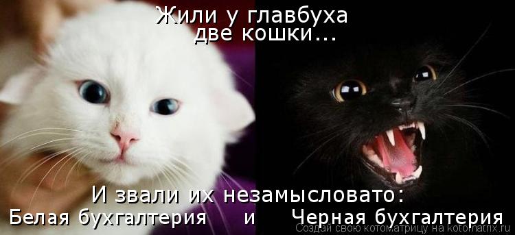 Жили у главбуха И звали их незамысловато: две кошки... Белая бухгалтерия и Черная бухгалтерия... Котоматрица: Жили у главбуха И звали их незамысловато: две кошки... Белая бухгалтерия и Черная бухгалтерия