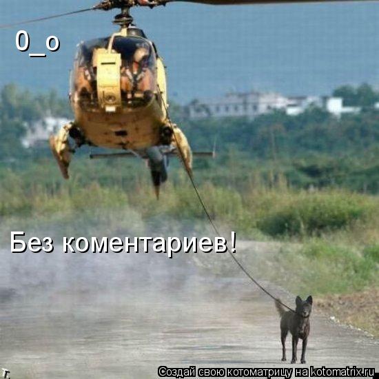 0_о Без коментариев!... Котоматрица: 0_о Без коментариев!