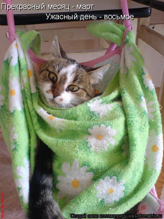 Прекрасный месяц - март Ужасный день - восьмое... Котоматрица: Прекрасный месяц - март Ужасный день - восьмое