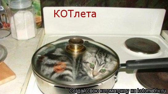 КОТлета... Котоматрица: КОТлета