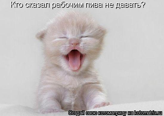 Кто сказал рабочим пива не давать?... Котоматрица: Кто сказал рабочим пива не давать?