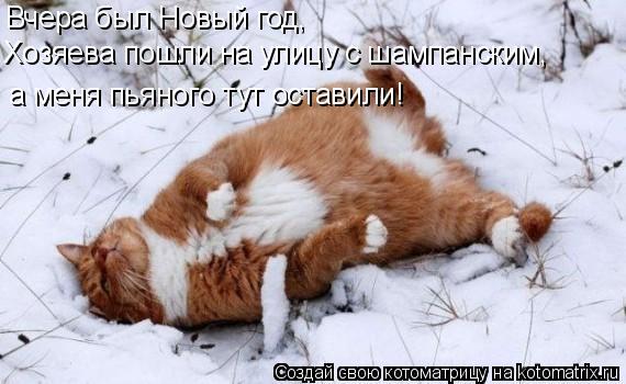 Вчера был Новый год, Хозяева пошли на улицу с шампанским, а меня пьяного тут оставили!... Котоматрица: Вчера был Новый год, Хозяева пошли на улицу с шампанским, а меня пьяного тут оставили!