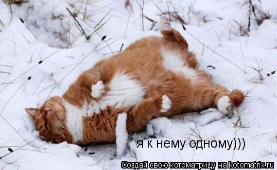 я к нему одному)))... Котоматрица: я к нему одному)))