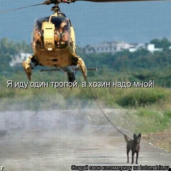 Я иду один тропой, а хозин надо мной!... Котоматрица: Я иду один тропой, а хозин надо мной!
