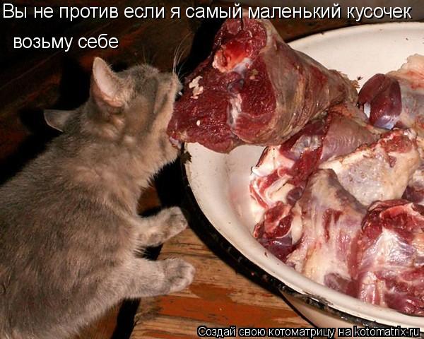 Вы не против если я самый маленький кусочек возьму себе... Котоматрица: Вы не против если я самый маленький кусочек возьму себе